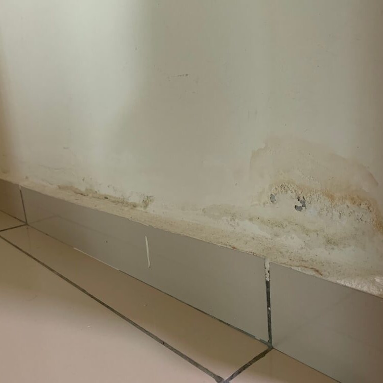Moisture control in walls: treating rising damp