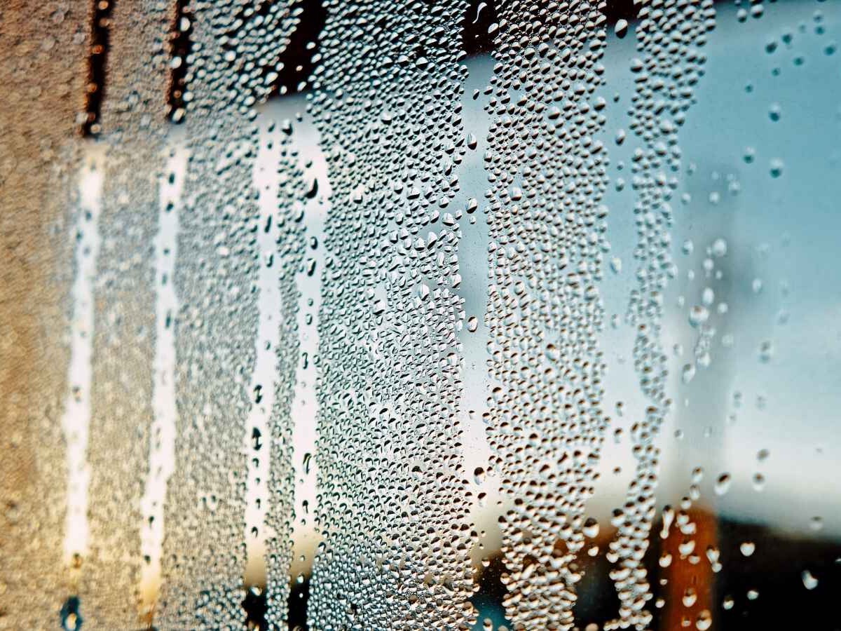 condensation on the windows