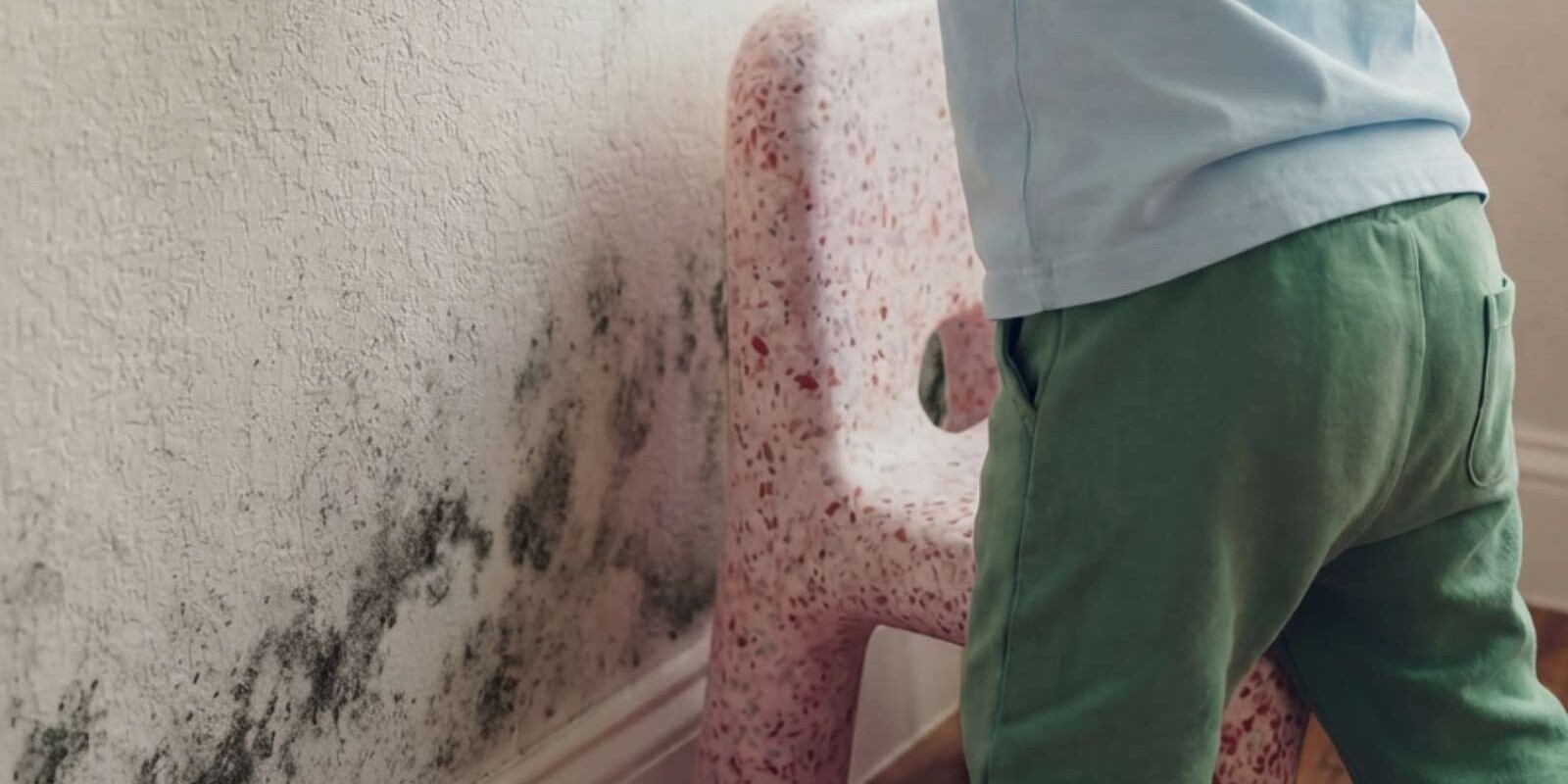 Schimmel op muur